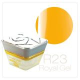 Royal Gel R023